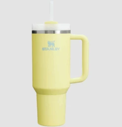 Stanley Quencher H20 FlowState Tumbler 40 Oz -Outdoor Equipment Screenshot2025 06 17at3.08.11PM